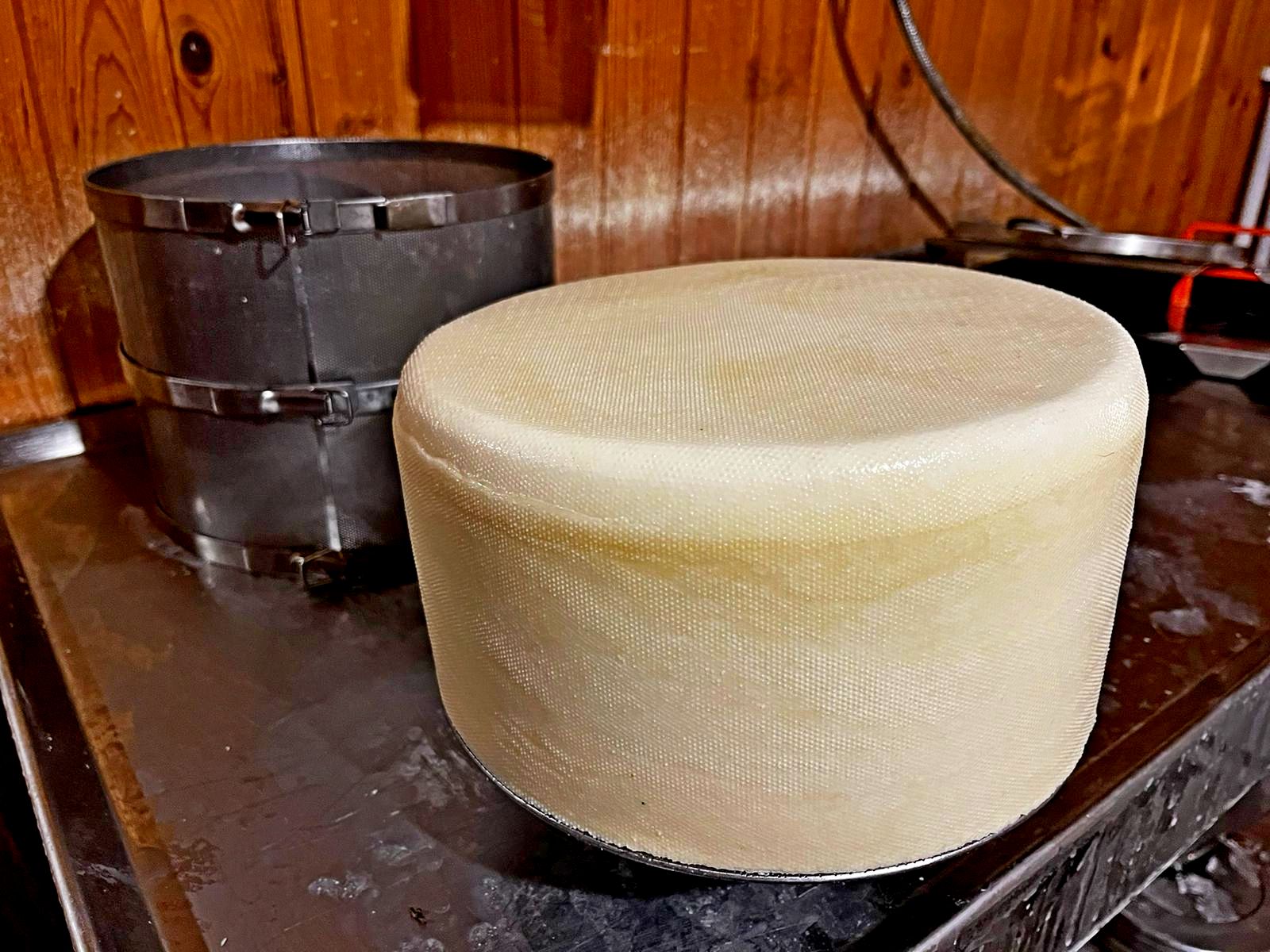 Форма для сыра (диамтр ) Ф 400, (высота ) Н 200 .Полная загрузка(22.1 кг) , после прессования Н150 (18,8 кг)